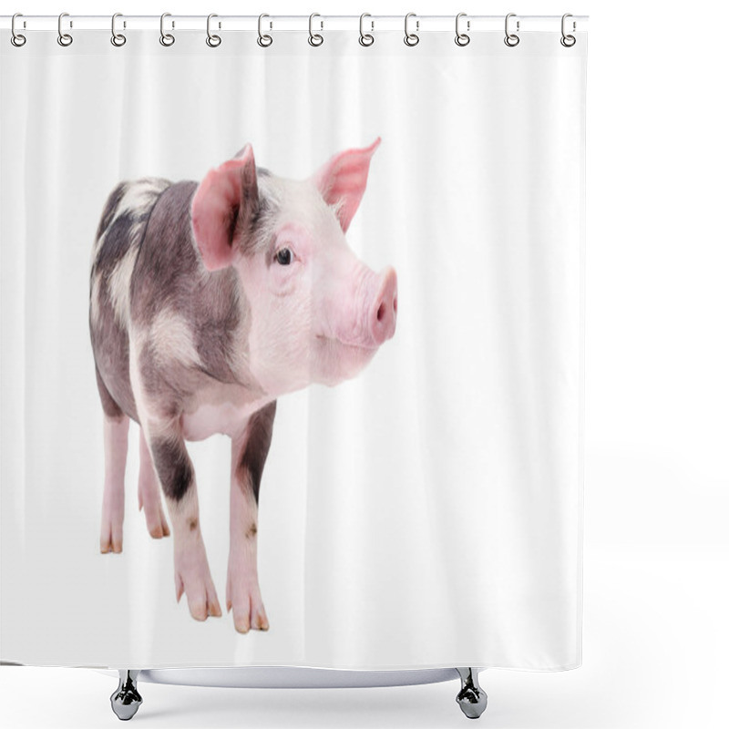 Personality  Funny Piglet Standing Isolated Shower Curtains