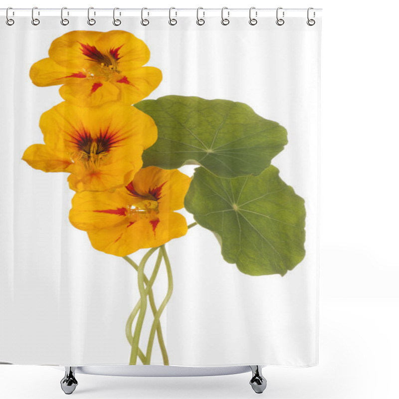 Personality  Flower Isolated On White Shower Curtains