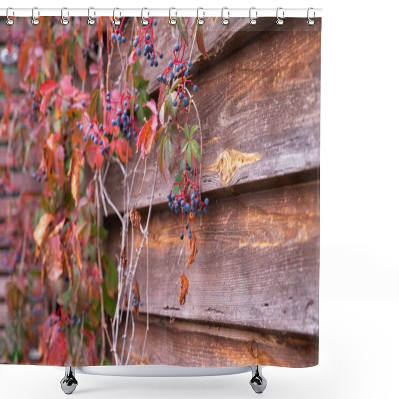 Personality  Rustic Wooden Wall With Red Autumn Leaves And Blue Berries Shower Curtains