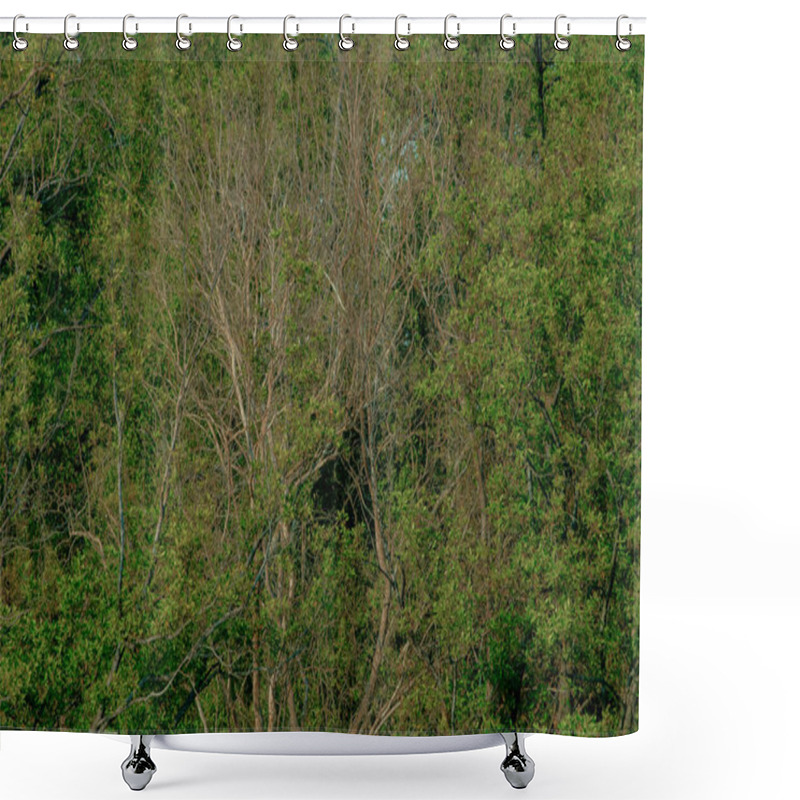 Personality  A Dense Canopy Of Mangrove Trees With Vibrant Green Foliage, Showcasing The Beauty Of Tropical Ecosystems. The Image Captures The Importance Of Mangroves In Coastal Protection, Biodiversity Conservation, And Environmental Sustainability Shower Curtains