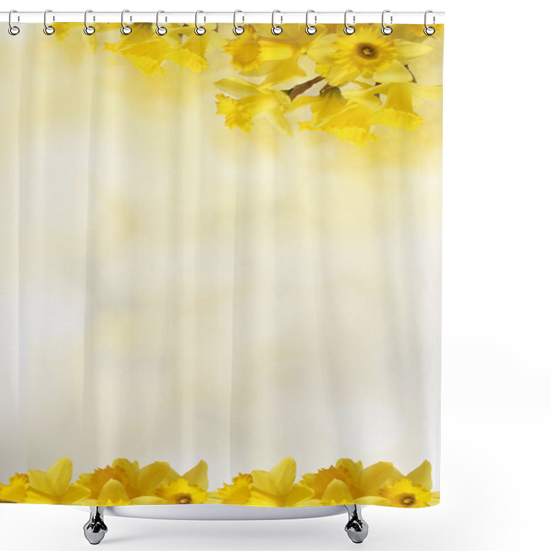 Personality  Background With Yellow Daffodils, For Your Text Shower Curtains