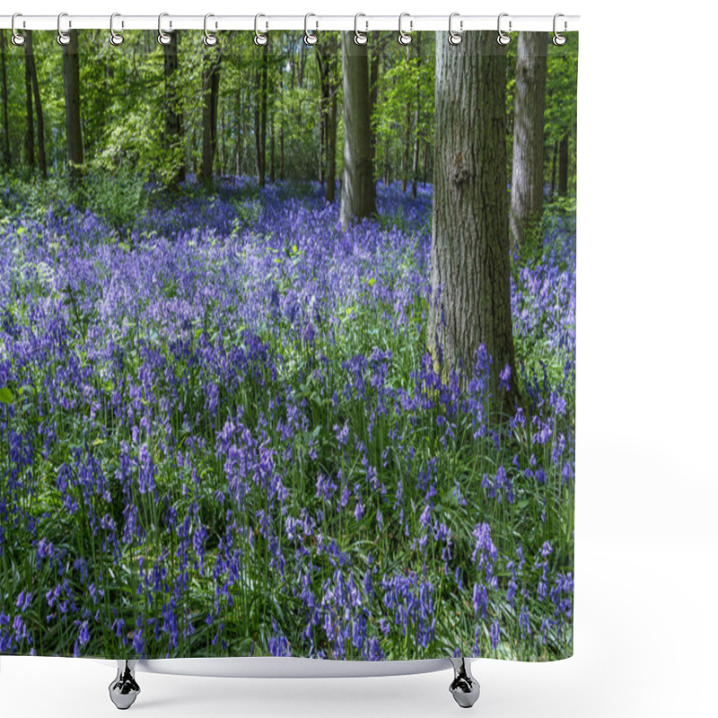 Personality  Bluebells In Staffhurst Woods Near Oxted Surrey Shower Curtains