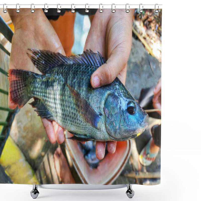 Personality  Big Fresh Tilapia Fish In Hand Of A Fish Farmer Ready For Sale HD Shower Curtains