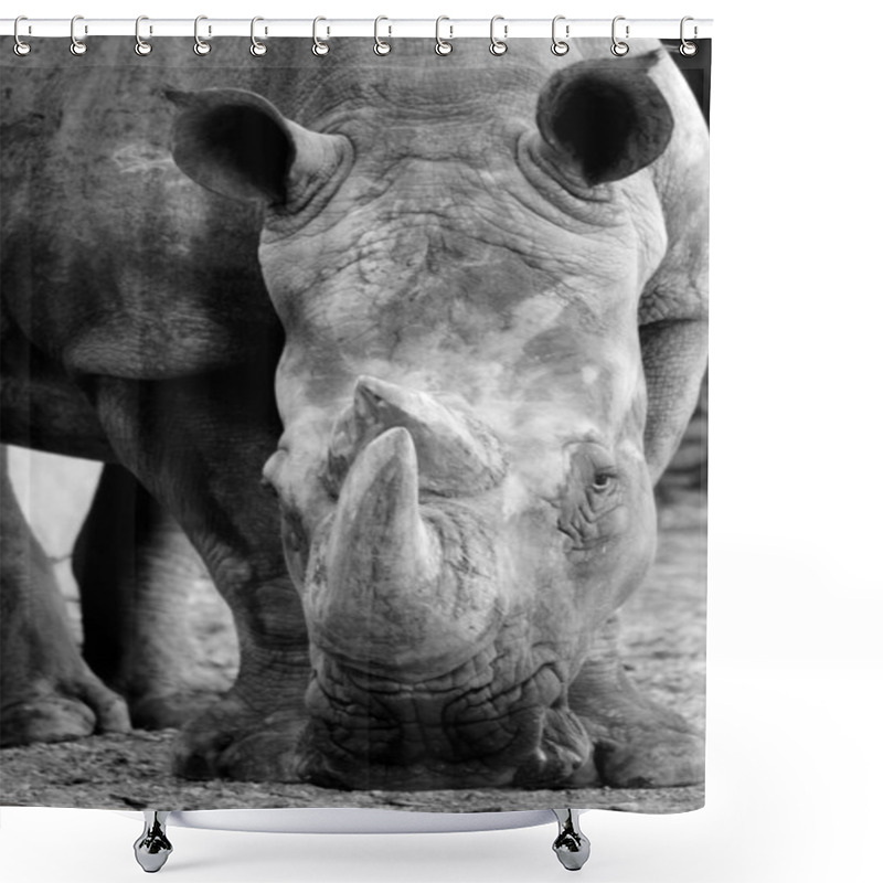 Personality  Rhino In Black And White Shower Curtains