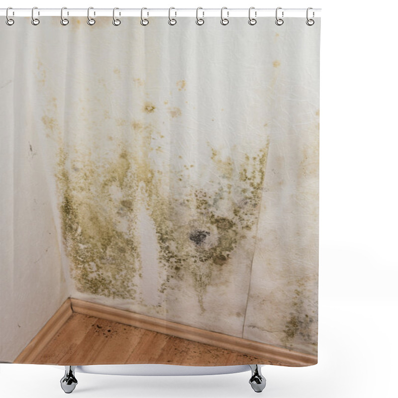 Personality  Mildewed Walls Shower Curtains