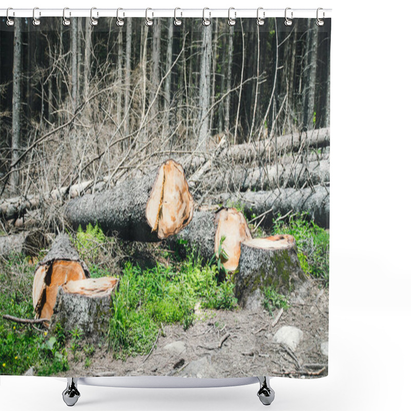 Personality  Ecological Catastrophy. Photo Of Illegal Logging. Environmental Problem And Danger Shower Curtains