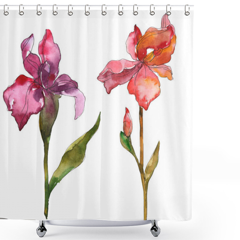 Personality  Purple And Red Iris Floral Botanical Flower. Wild Spring Leaf Wildflower Isolated. Watercolor Background Illustration Set. Watercolour Drawing Fashion Aquarelle. Isolated Iris Illustration Element. Shower Curtains