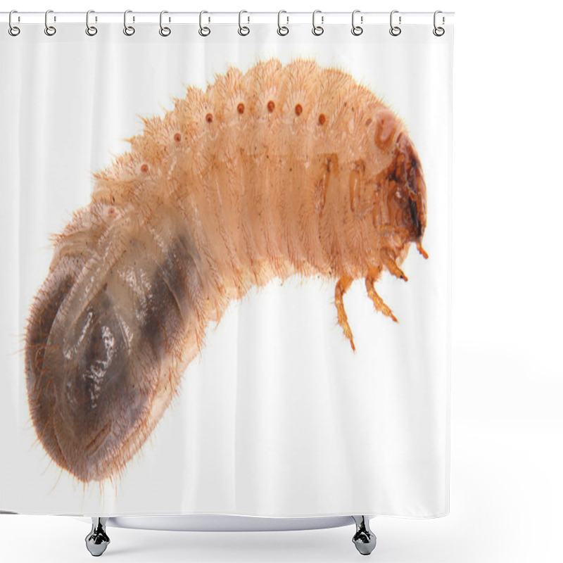 Personality  Larva Of Cockchafer Shower Curtains