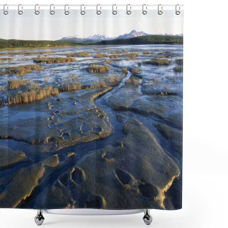 Personality  Grizzly Bear Tracks In Mud On Tidal Flats, Alaska Shower Curtains