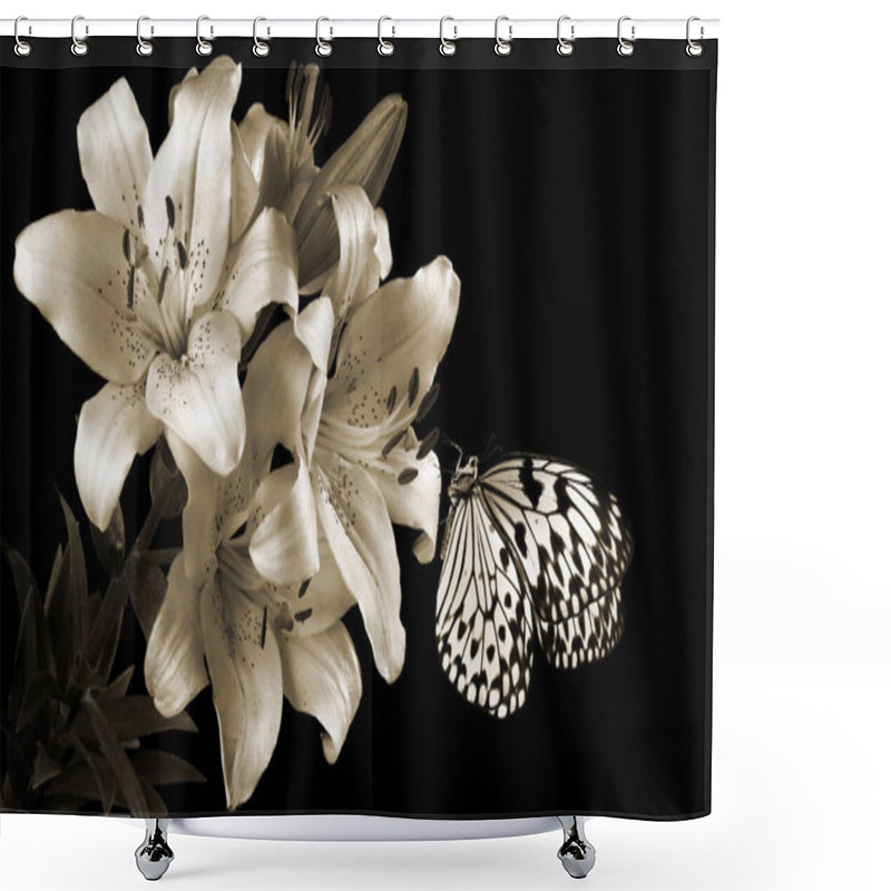 Personality  Bright Butterfly On Flowers. Topical Butterfly On Lily Flowers Black And White. Rice Paper Butterfly. Large Tree Nymph. White Nymph Butterfly. Shower Curtains