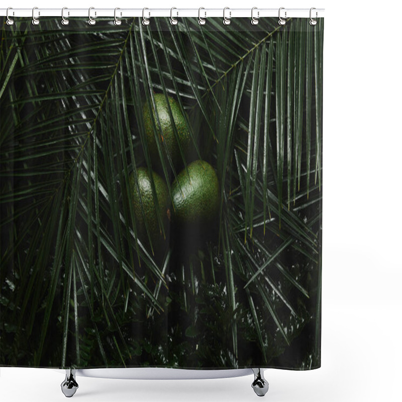 Personality  Close-up View Of Beautiful Green Tropical Leaves And Fresh Avocados Shower Curtains