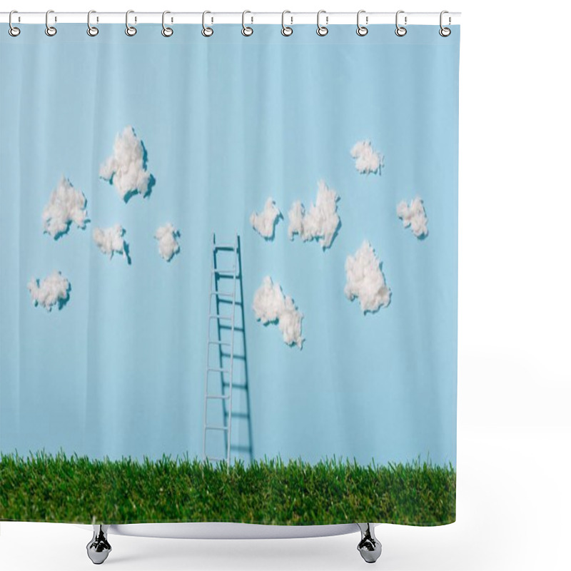 Personality  Small Ladder Standing On Green Grass And Blue Sky With Clouds Shower Curtains