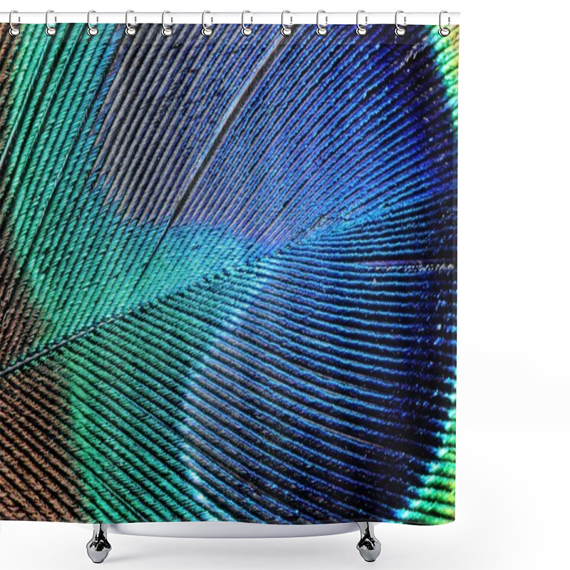 Personality  Peacock Feather Shower Curtains