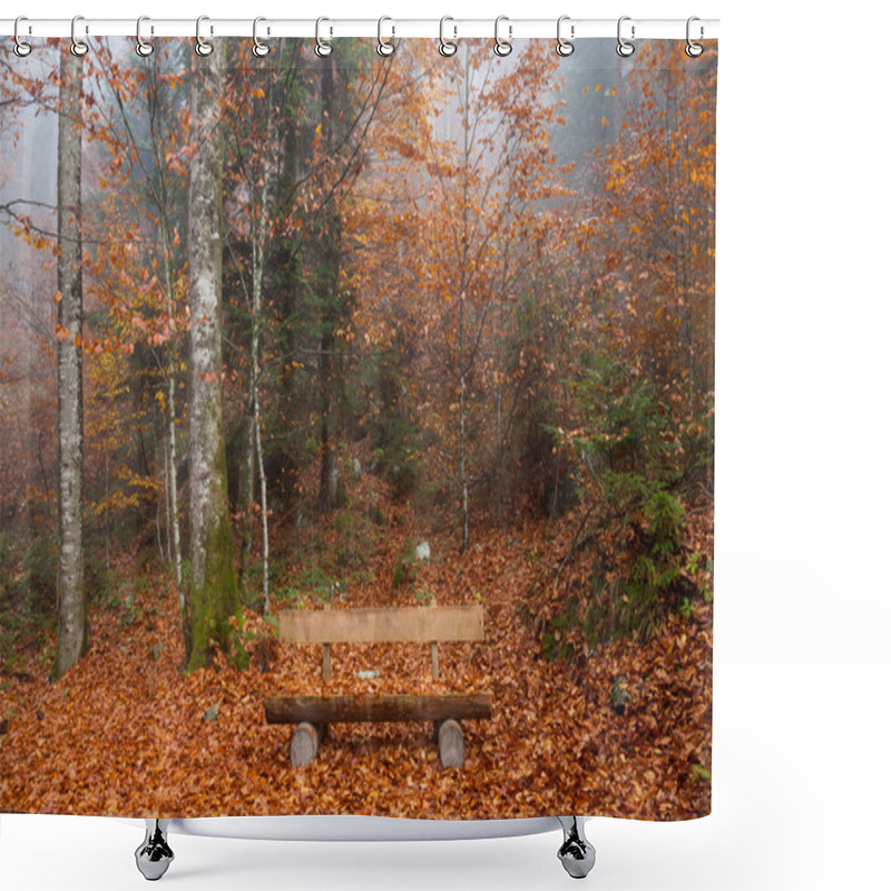 Personality  Germany, Berchtesgadener Land, Autumn Forest, Bench Shower Curtains