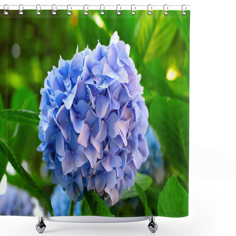 Personality  Blue Hydrangea Flower Shower Curtains