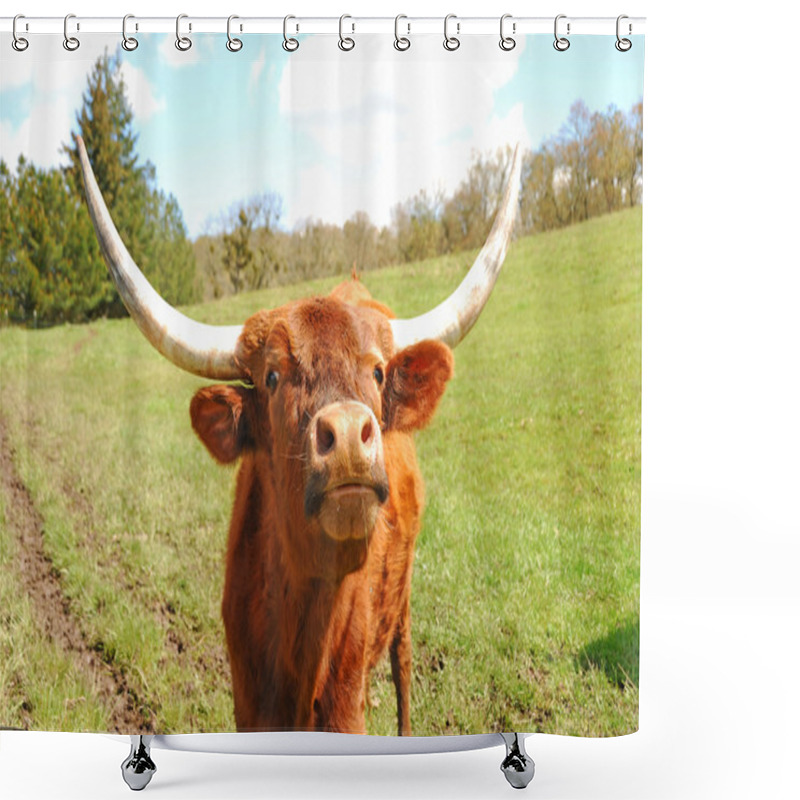 Personality  Longhorn Shower Curtains