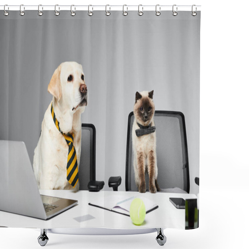 Personality  A Cat And A Dog Sit Attentively In Front Of A Laptop Screen In A Studio Setting. Shower Curtains