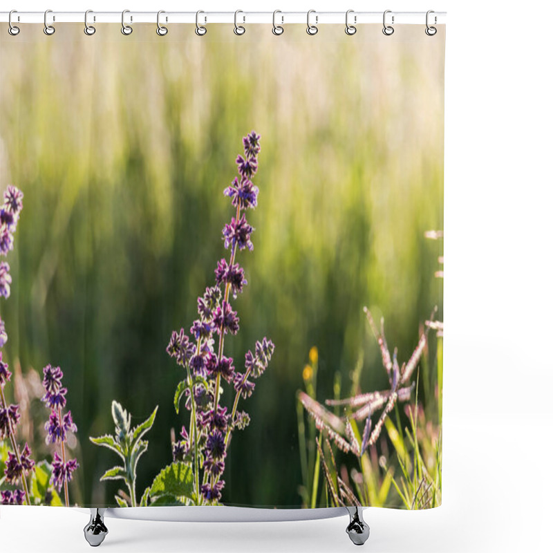 Personality  Wild Basil Plant Blooming In Spring Shower Curtains