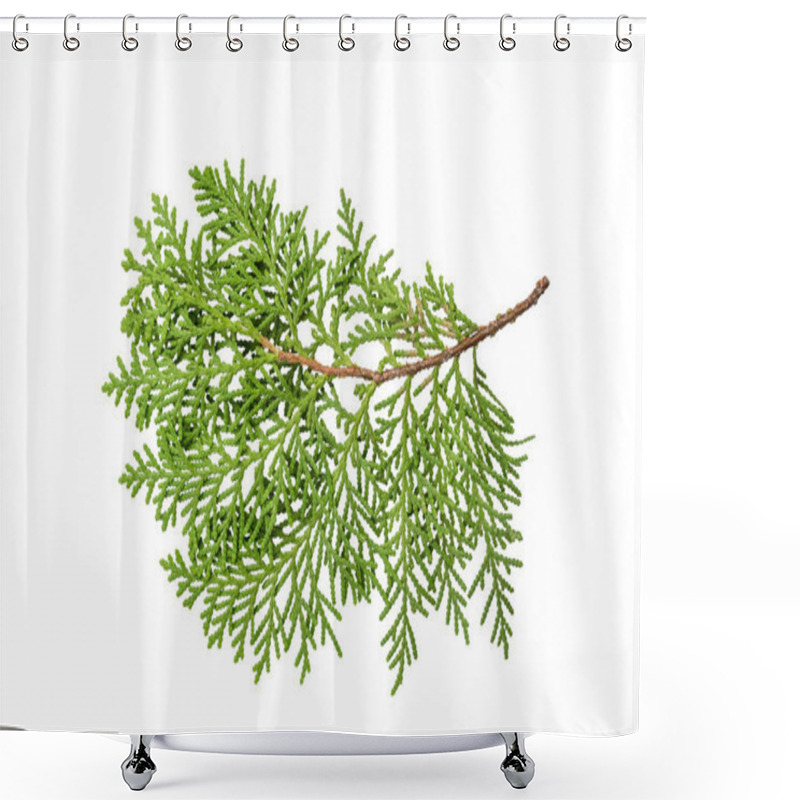 Personality  Isolate Sprig Of Green Thuja On White Background Shower Curtains