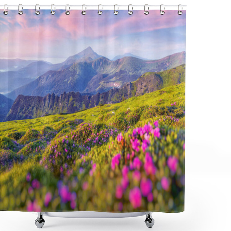 Personality  Pink Rhododendron Flowers In Mountains Shower Curtains