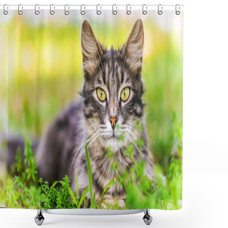 Personality  Beautiful Cat Shower Curtains