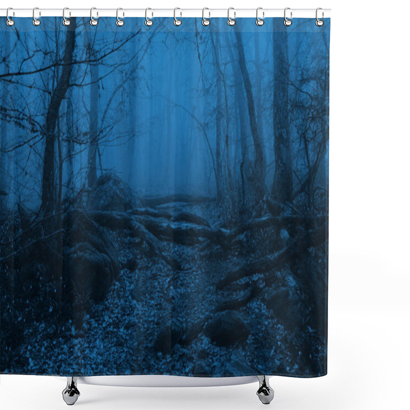 Personality  Foggy Forest With Trees In The Springtime Shower Curtains