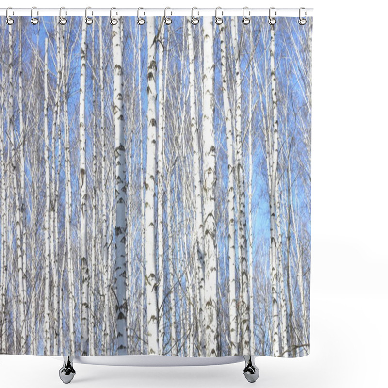 Personality  Several Birches With White Birch Bark In Birch Grove Among Other Birches Shower Curtains