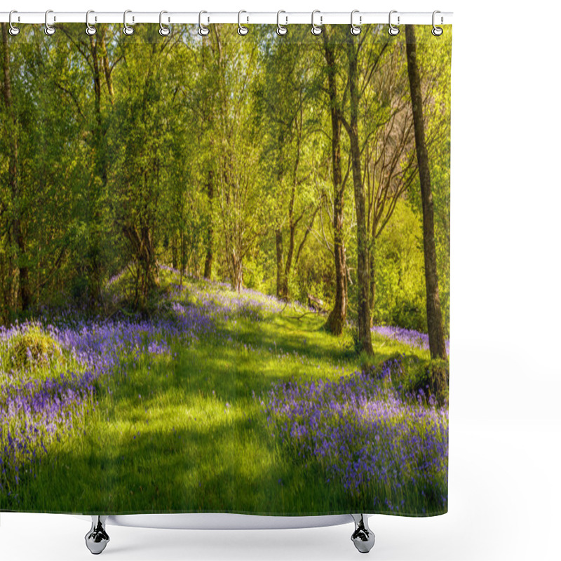 Personality  Bluebells Shower Curtains