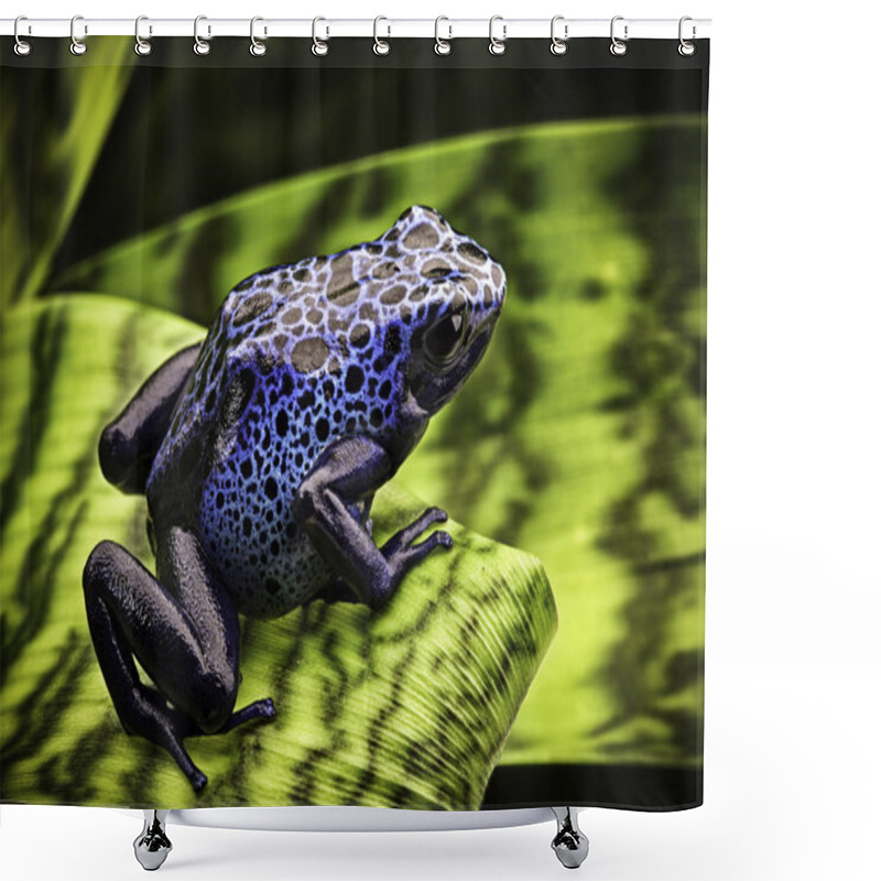 Personality  Blue Poison Dart Frog Shower Curtains