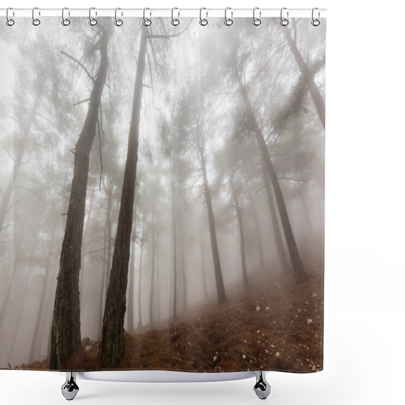 Personality  Magic Misty Forest Shower Curtains