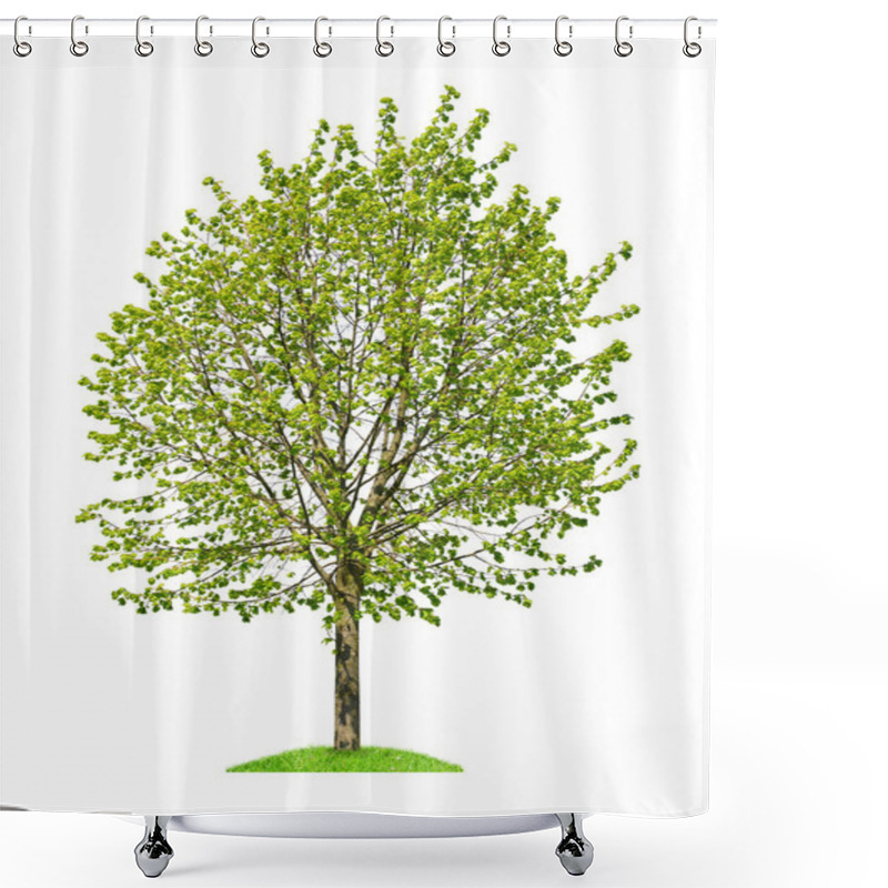 Personality  Deciduous Tree Isolated Shower Curtains