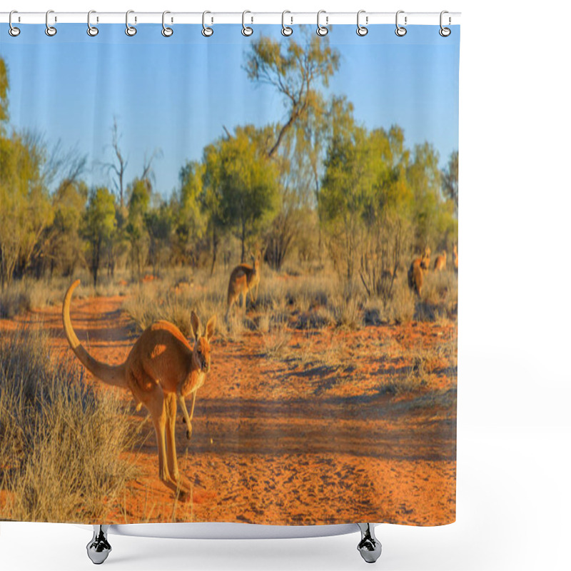 Personality  Red Kangaroo Jumping Shower Curtains