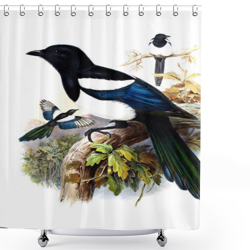 Personality  Illustration Of Animals Old Image Shower Curtains