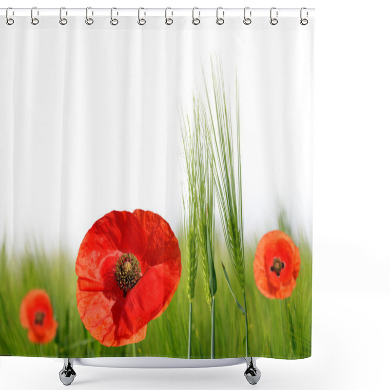 Personality  Red Poppies In Green Barley Field. Shower Curtains