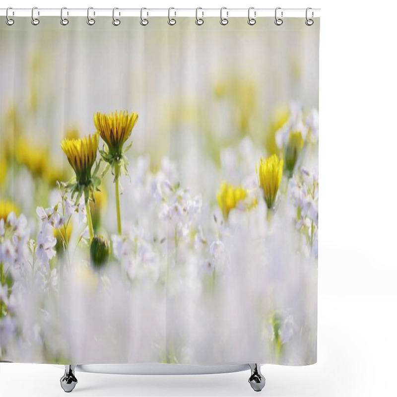 Personality  Dandelion Flowers With Cuckoo Flower  Shower Curtains