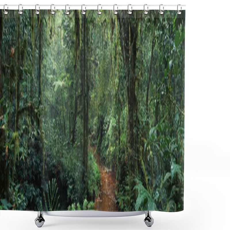 Personality  Picturesque African Jungle Shower Curtains