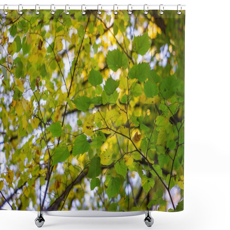 Personality  Close-up Of Dense, Vibrant Autumn Leaves On Tree Branches Image Emphasizes Fall Colors Yellow, Orange, And Red Leaves Packed Together To Create A Lush Canopy Background Blurred Due To Shallow Dept Shower Curtains