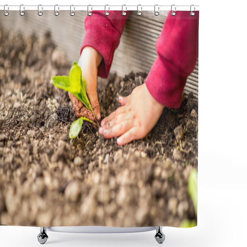 Personality  Hands Transplanting A Young Green Seedling Shower Curtains