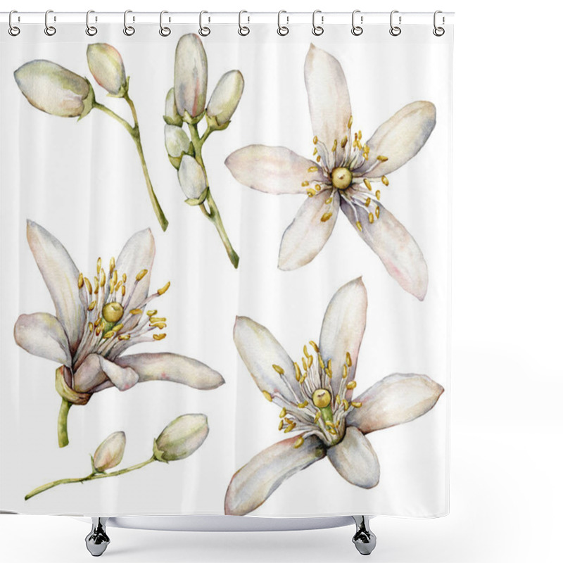 Personality  Watercolor Floral Set Of Lemon Flowers And Buds. Hand Painted Citrus Plants Isolated On White Background. Spring Illustration For Design, Print, Fabric Or Background. Shower Curtains