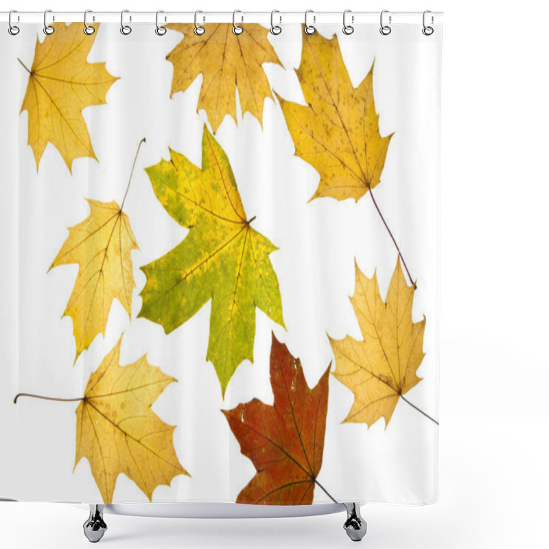 Personality  Autumn Background Shower Curtains