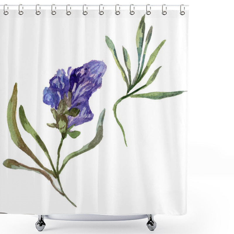 Personality  Purple Lavender. Floral Botanical Flower. Wild Spring Wildflower Isolated On White. Hand Drawn Lavender Flower In Aquarelle. Watercolor Background Illustration. Shower Curtains