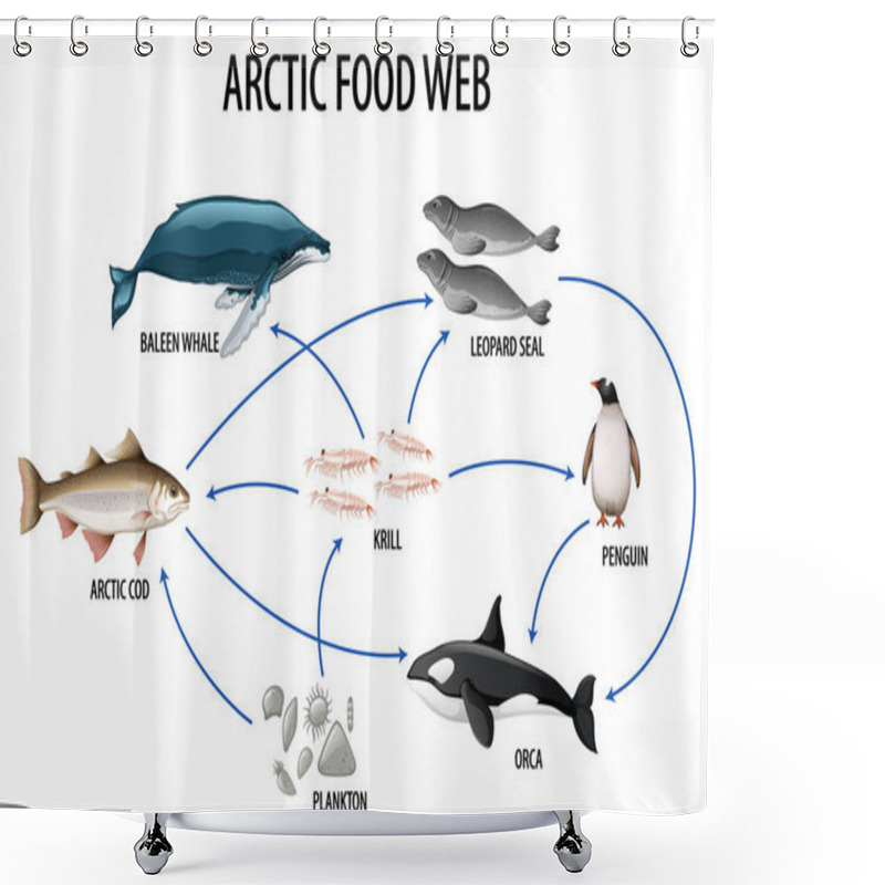 Personality  Education Poster Of Biology For Food Webs Diagram Illustration Shower Curtains