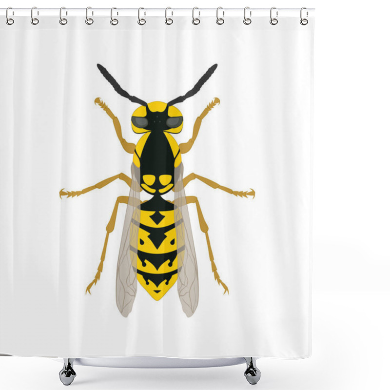 Personality  Wasp. Wasp Top View. Isolated On A White Background. Shower Curtains