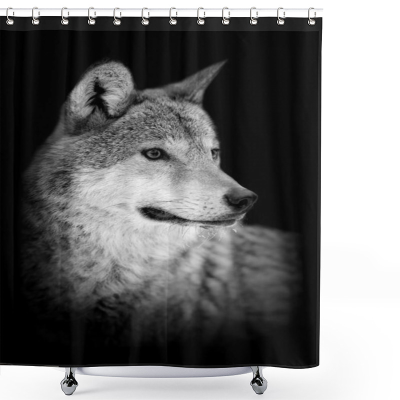 Personality  Wolf On Dark Background Shower Curtains