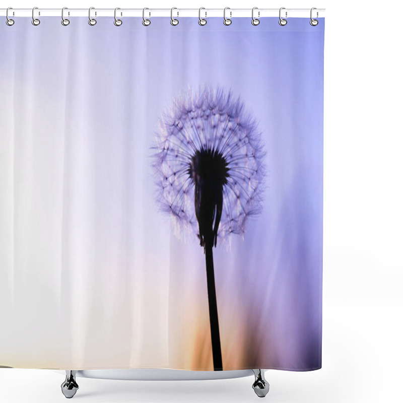 Personality  Dandelion Silhouette Against Sunset In Purple Pastel Colour Shower Curtains