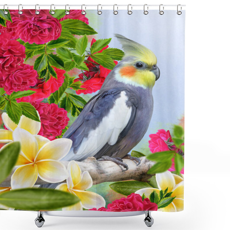 Personality  Bird Parrot Corella And White Flowers Plumeria, Frangipani Shower Curtains