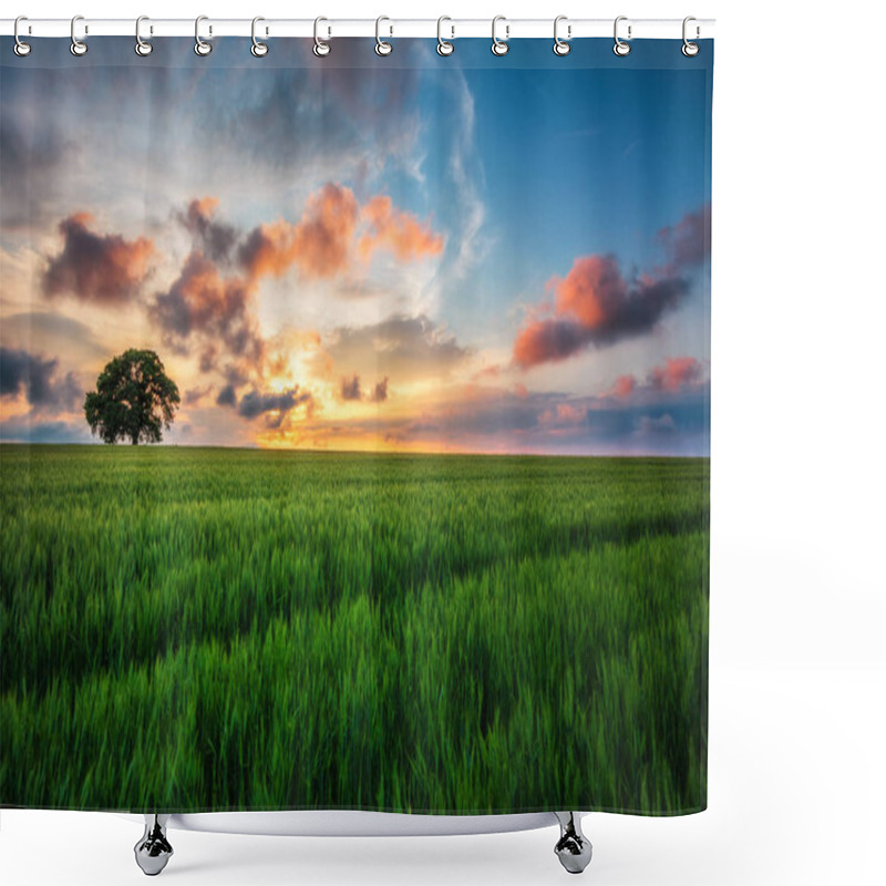 Personality  Tree In The Field And Sunset Clouds In The Sky Shower Curtains