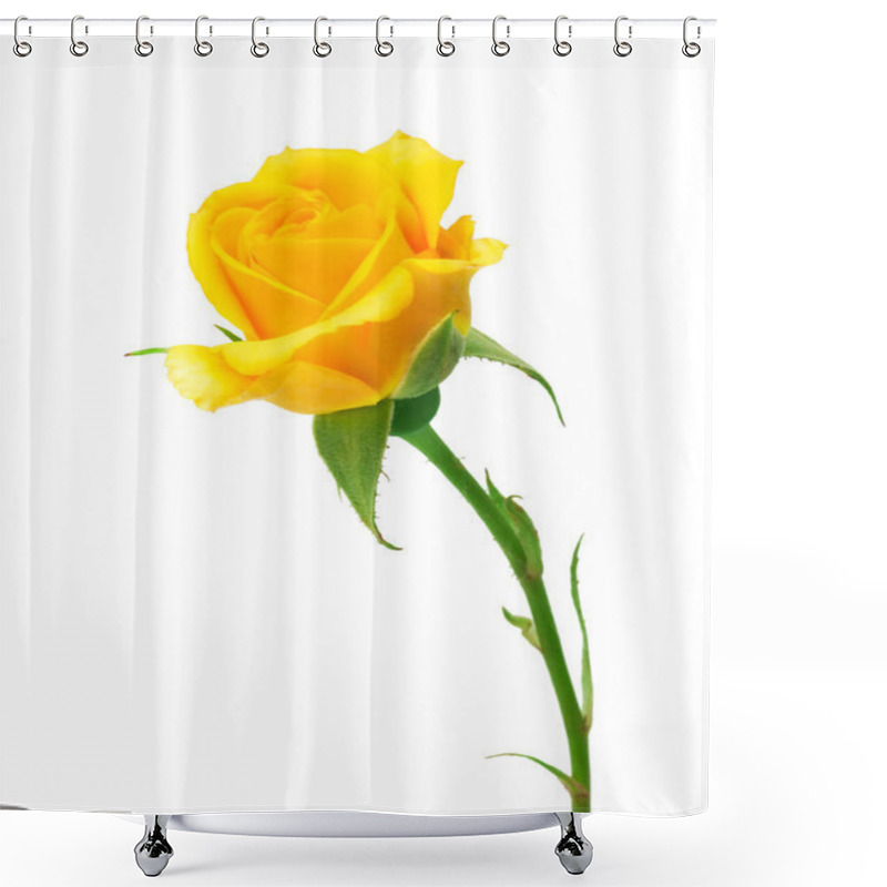 Personality  Beautiful Yellow Roses On A White Background Shower Curtains