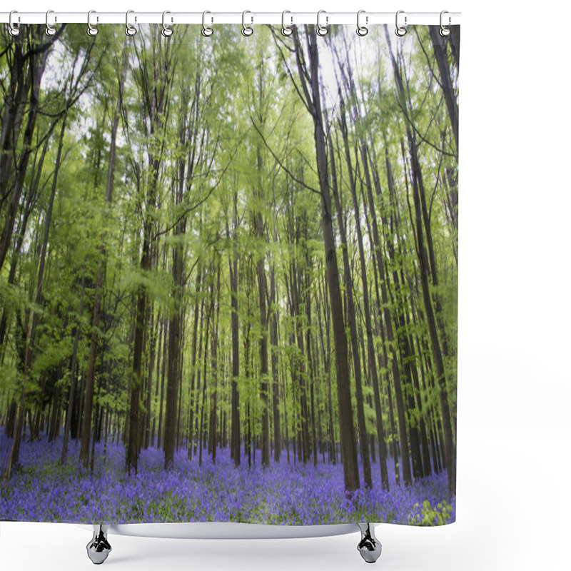 Personality  Vibrant Bluebell Carpet Spring Forest Landscape Shower Curtains