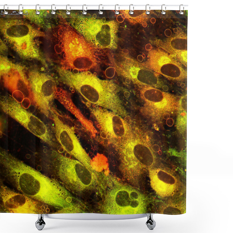 Personality  Ceramides In Human Cell Line Shower Curtains